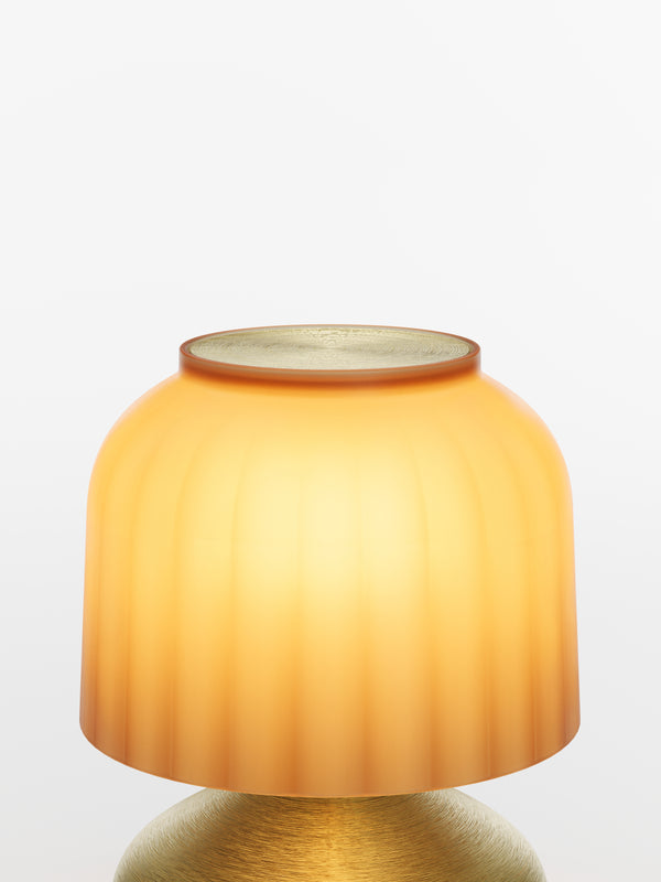 Mimosa