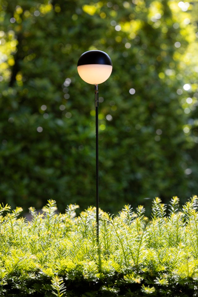 Bistronoom / Wortegem - Petegem