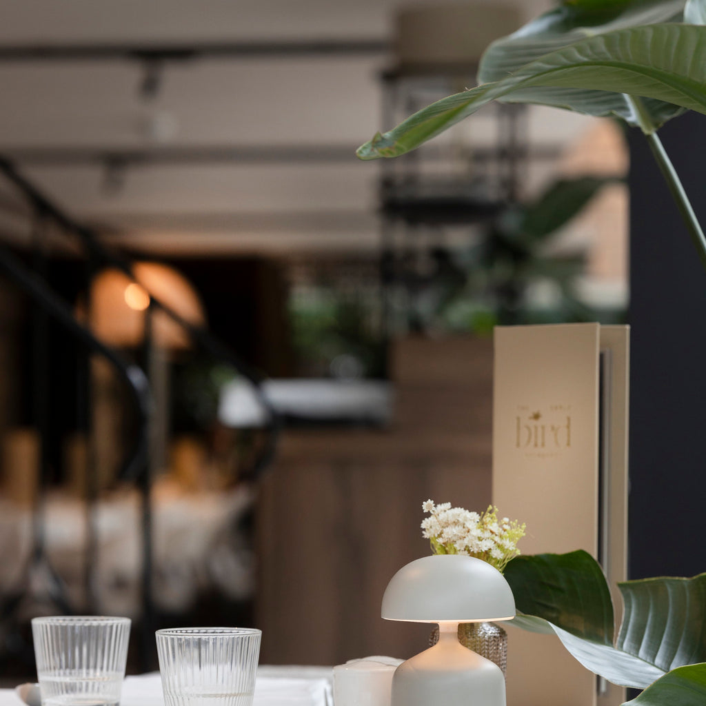 Van Oys / Maastricht